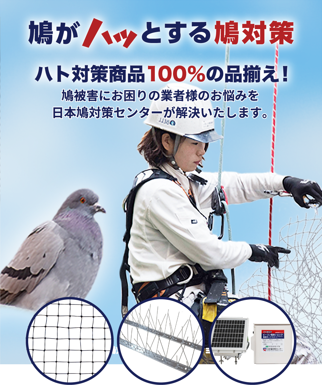 Mainsp11 日本鳩対策センター公式プロショップ