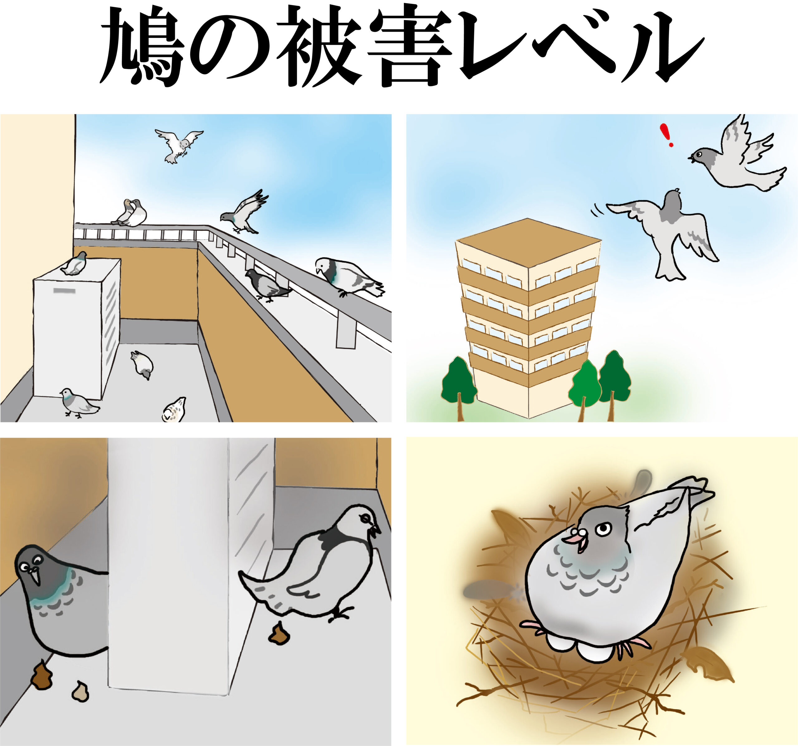 鳩の被害を数値化して分析 日本鳩対策センター公式プロショップ
