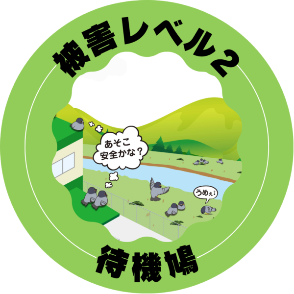 被害レベル2 待機鳩