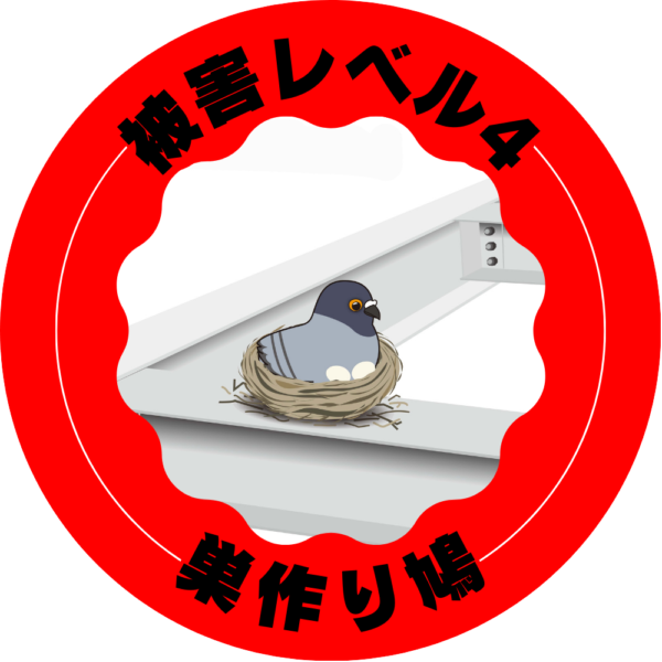 被害レベル4 巣作り鳩