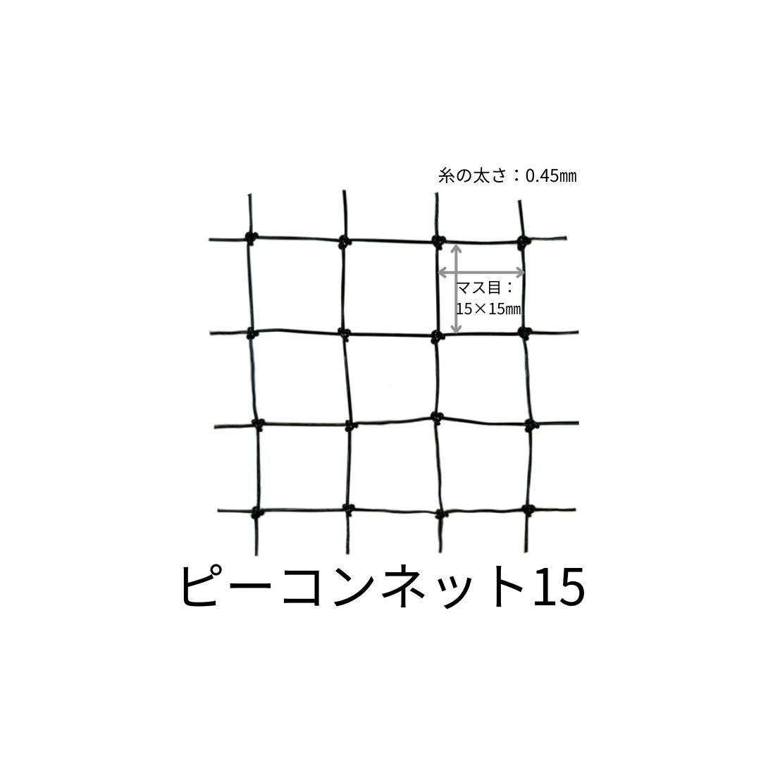ピーコンネット15