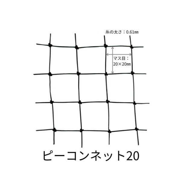 ピーコンネット20