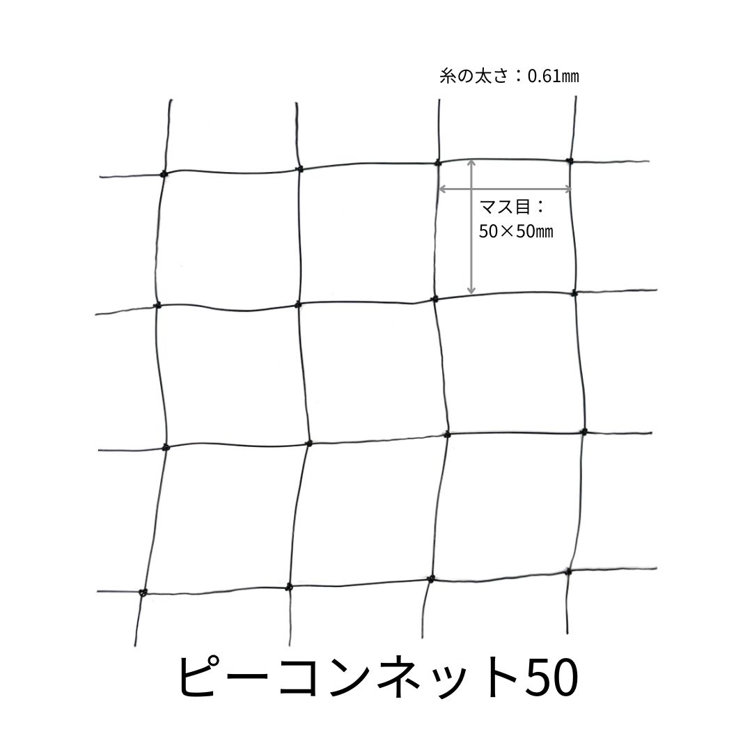 ピーコンネット50